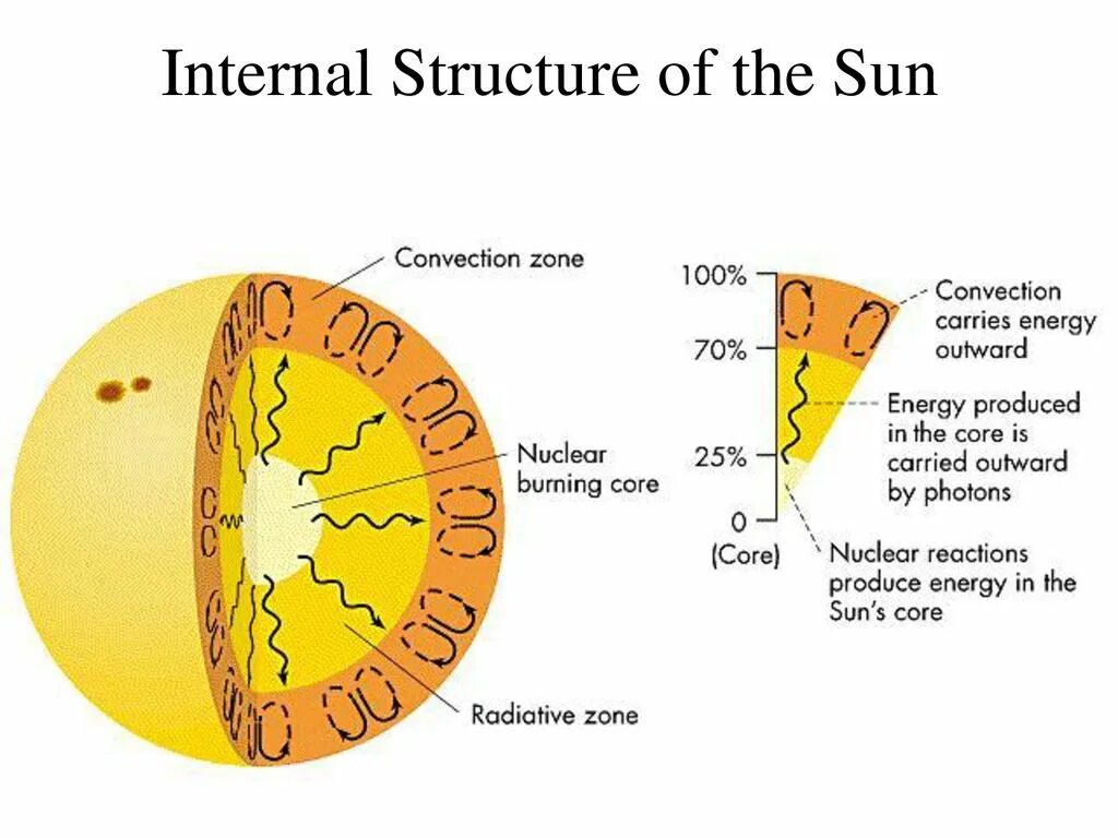 Internal structure. Internal structure of the Sun. Convection Zone of Sun. Строение солнца тахоклин. The layewrs of the Sun.
