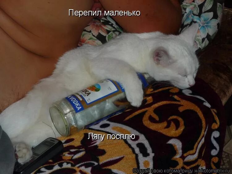 повар уснул. девушка на кухне. человек в холодильнике. спит в холодильнике. спишь сегодня на кухне.