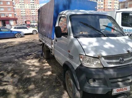 Тагаз харди