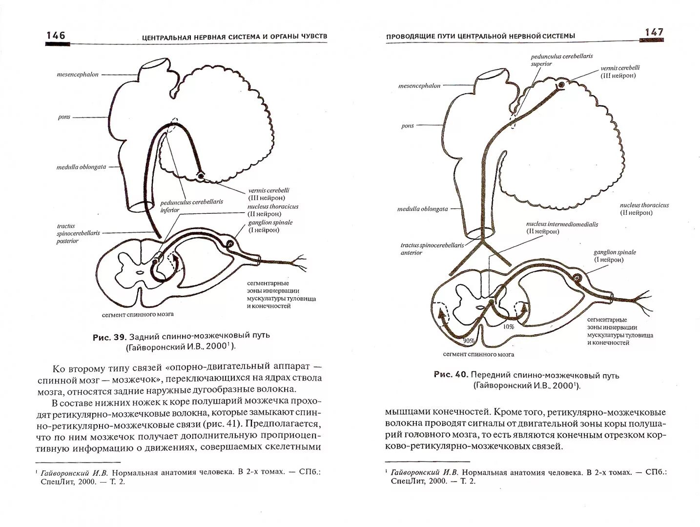 Проводящие пути органов чувств. Анатомия центральной нервной системы и органы чувств. Передний спинно-мозжечковый путь. Анатомия человека pdf Калмин ЦНС.