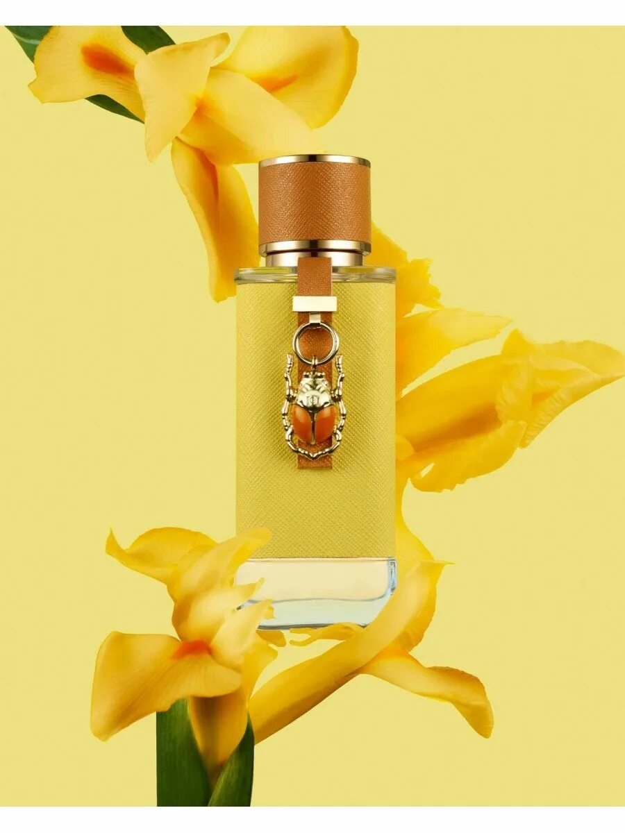 Carolina Herrera Lucky Charm. Духи в желтом флаконе. Carolina Herrera вся линейка ароматов. Charming Парфюм. Charms духи