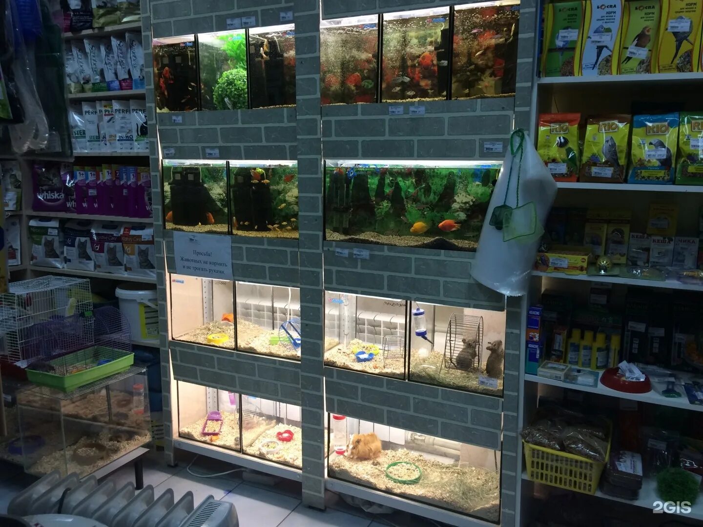 Зоомагазин рыбки. Витрина зоомагазина. В каком зоомагазине. Самый большой зоомагазин. Самый большой зоомагазин в москве.
