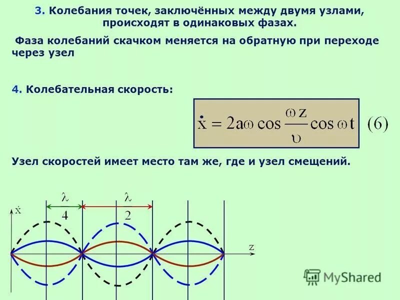 полное колебание точки