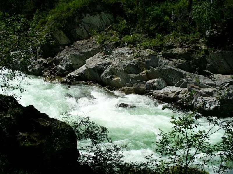 Коргон Алтай река. Водопад на Чарыше Алтайский край.