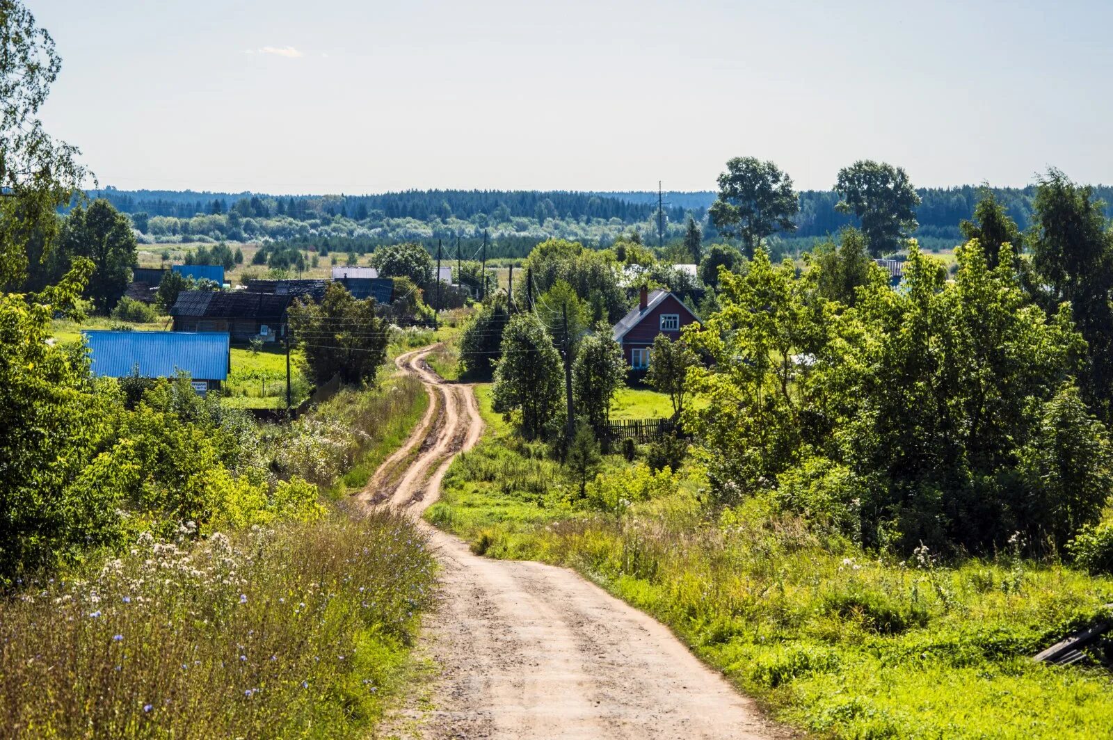 Село Быстрица Оричевский район. Село Быстрица Оричевский район Кировской области. Река Быстрица Киров. Село Быстрица Киров. Картинка кировская область