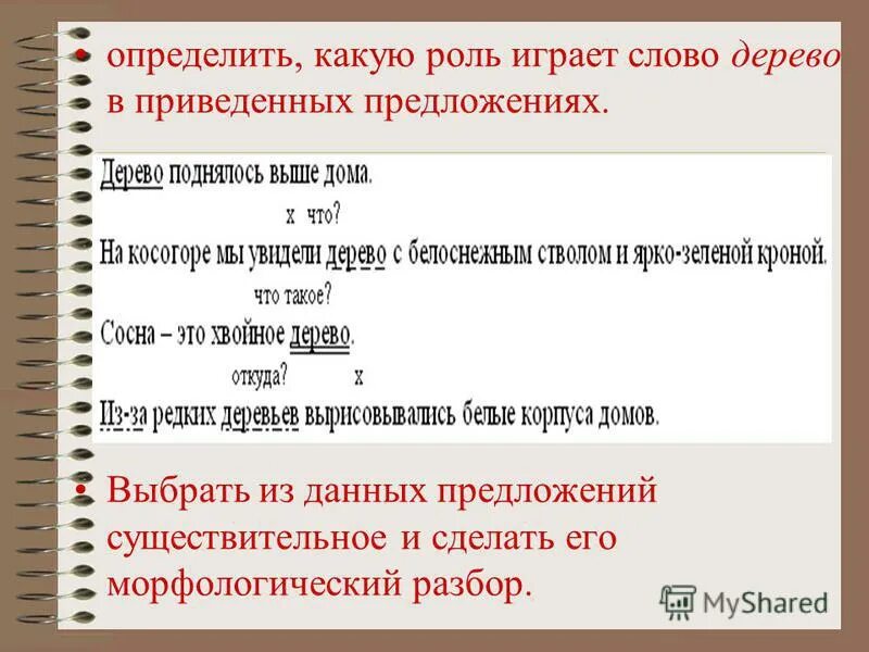 какую роль играют слова в русском языке. какова роль ударения в слове. значение слова мышь. какую роль в языке играют слова. какую роль играет в наше жизни.