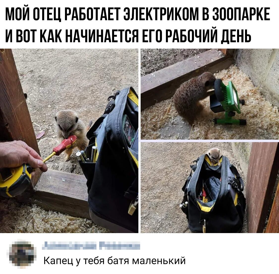 Отец работает сегодня срочно. Капец у тебя батя маленький. папа работает электриком. мой папа работает электриком. мой отец работает в зоопарке мем.