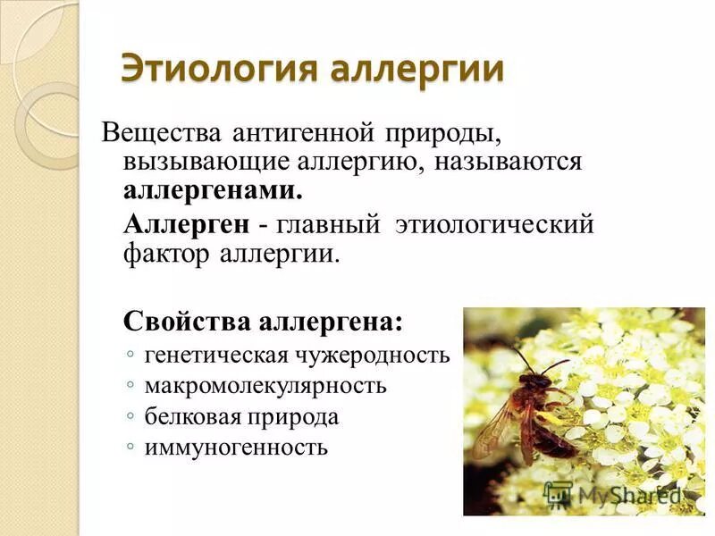 Аллергены животного происхождения. Аллергены это антигены. Не вызывающий аллергии. Продукты питания вызывающие аллергический насморк. Лекарственная аллергия презентация.