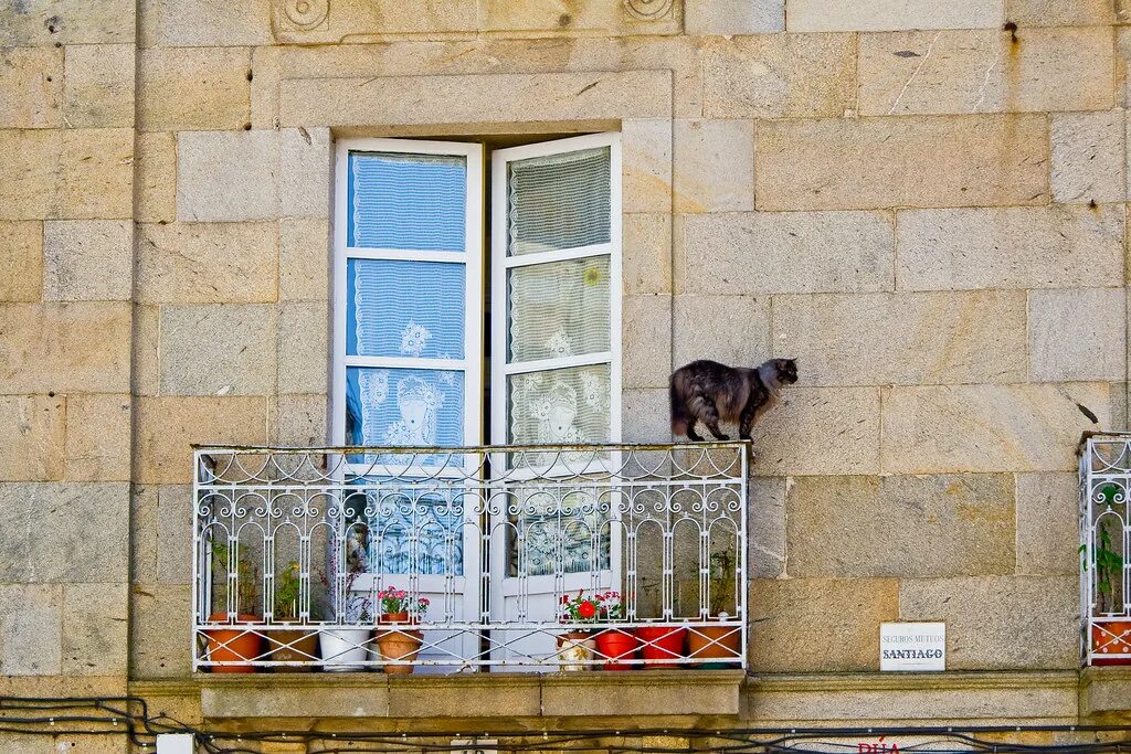 На балконе ходят. Загорает на балконе. Человек на балконе. Кошачий балкончик на балконе. Подъездный балкон.