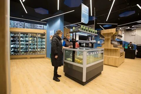 Новая торговая сеть магазинов