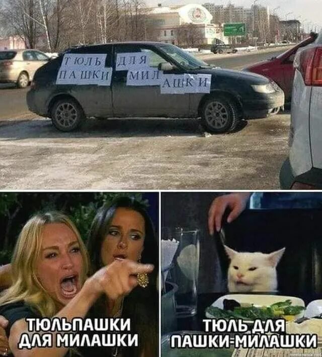 "Не спорь с котом!"))) Смешные мемы, Смешной сарказм, Мемы