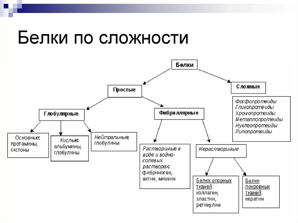 Виды белков химия. Схема классификации белков. Виды белков в организме человека. Типы сложных белков.