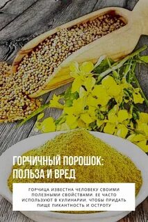 Польза горчицы для организма мужчины