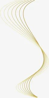 Lines 2024