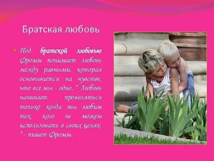 Братская любовь цитаты. Братская любовь. Братская любовь картинки. Братская любовь статус. Братская любовь 4 глава.