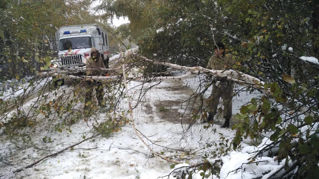 Погода в горном зейского района. Снежногорск Амурская область Зейский район. Поселок Снежногорский Зейский район. Деревья Зейского района. Зея Снежногорский дорога.