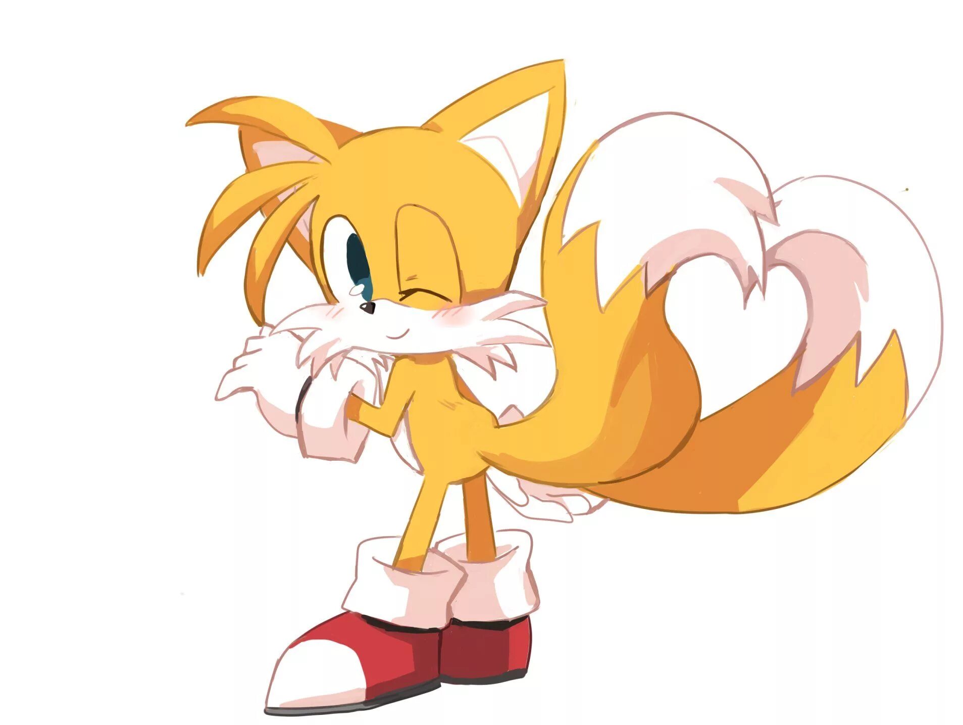 Соник ванилла и руж. Tails nsfw. Sonic x tails 18. Эми руж и ванилла. Соник и тейлз.