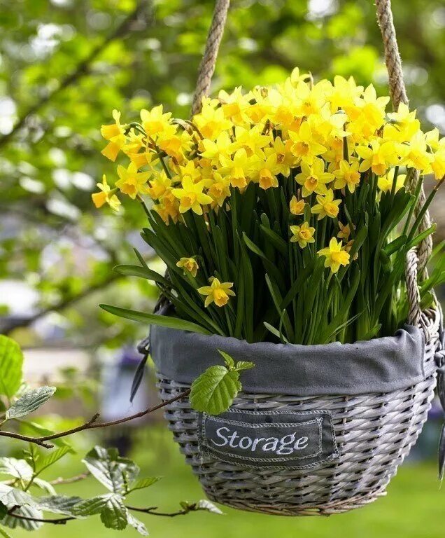 Хорошего апреля картинки красивые. Весенние цветы. Красивые весенние цветы. Цветы весной. Тюльпаны и нарциссы.