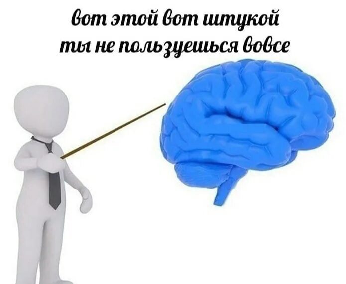 Мемы про мозги. Шутки про мозг. Анекдот про мозги. Мемы про мозг. Используйте свой мозг для изменений