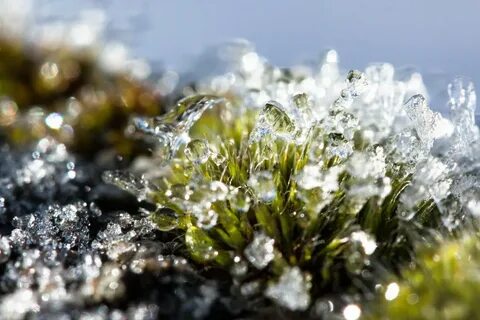 Тает снег вода