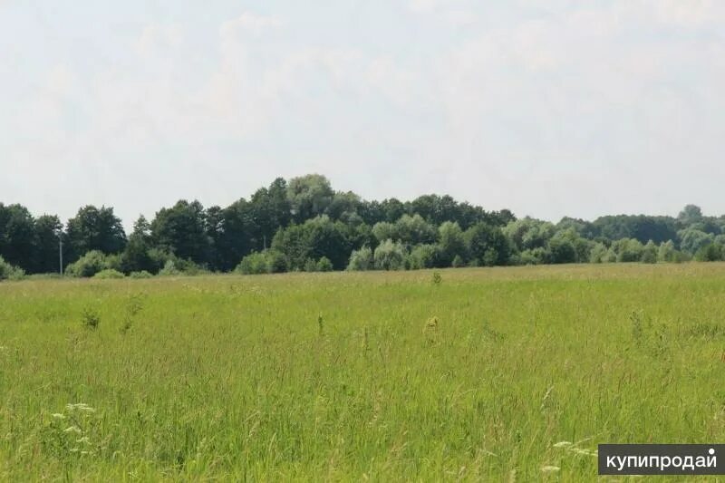 Земли сельскохозяйственного назначения в ижс