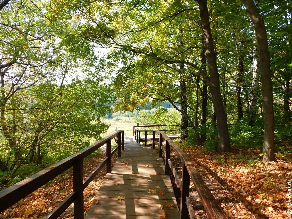 парк реки сходня. парк реки сходня. парк реки сходня куркино. парк берег реки сходня. долина реки сходни в куркино природный парк.