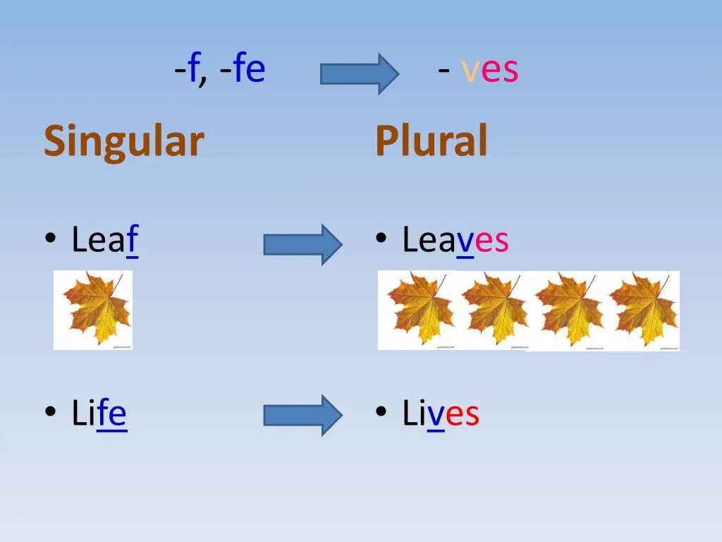 F ves plural Nouns. Plural Nouns f Fe. Leaf во множественном числе на английском. F Fe plural forms.