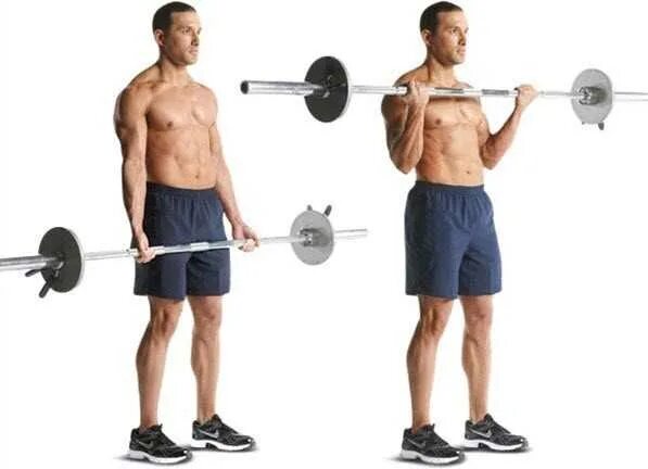 Barbell curl. Barbell bicep curls. подъем штанги на бицепс. подъем штанги на бицепс стоя. прямой гриф на бицепс.