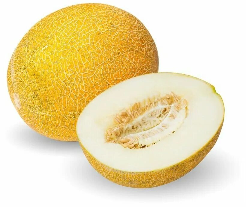 Магнит арбуз. Дыня желтая узбекистан. Верный дыня. Верный дыня. Верный дыня.