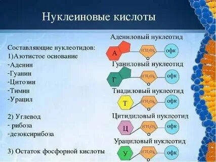 Методы структурной биологии 10
