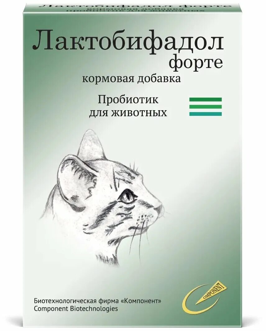 Лактобифадол форте для собак. Пробиотик для собак Лактобифадол. Пробиотик Лактобифадол форте 50 г. Лактобифадол форте для собак 50г. Лактобифадол форте кошки, 50 г.