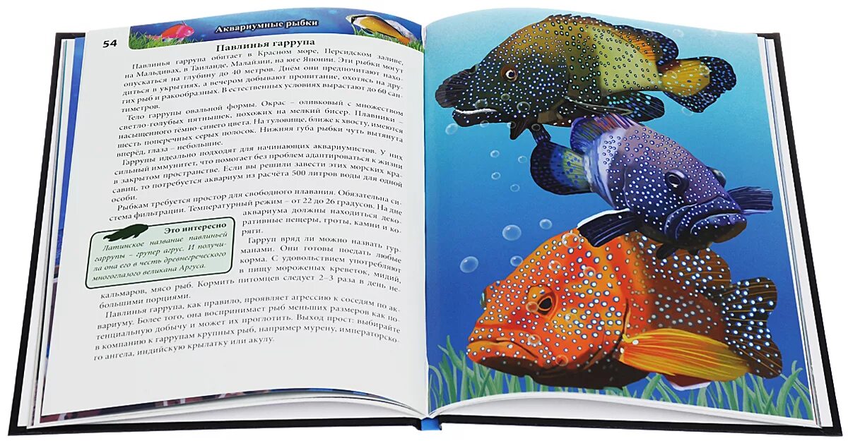 Энциклопедия про рыб для детей. Энциклопедия аквариумных рыб. Книжка про рыб. Аквариумные рыбки книжка. Рыба книги купить