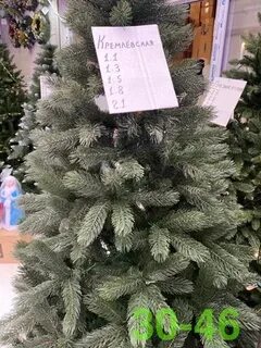 Садовод ели