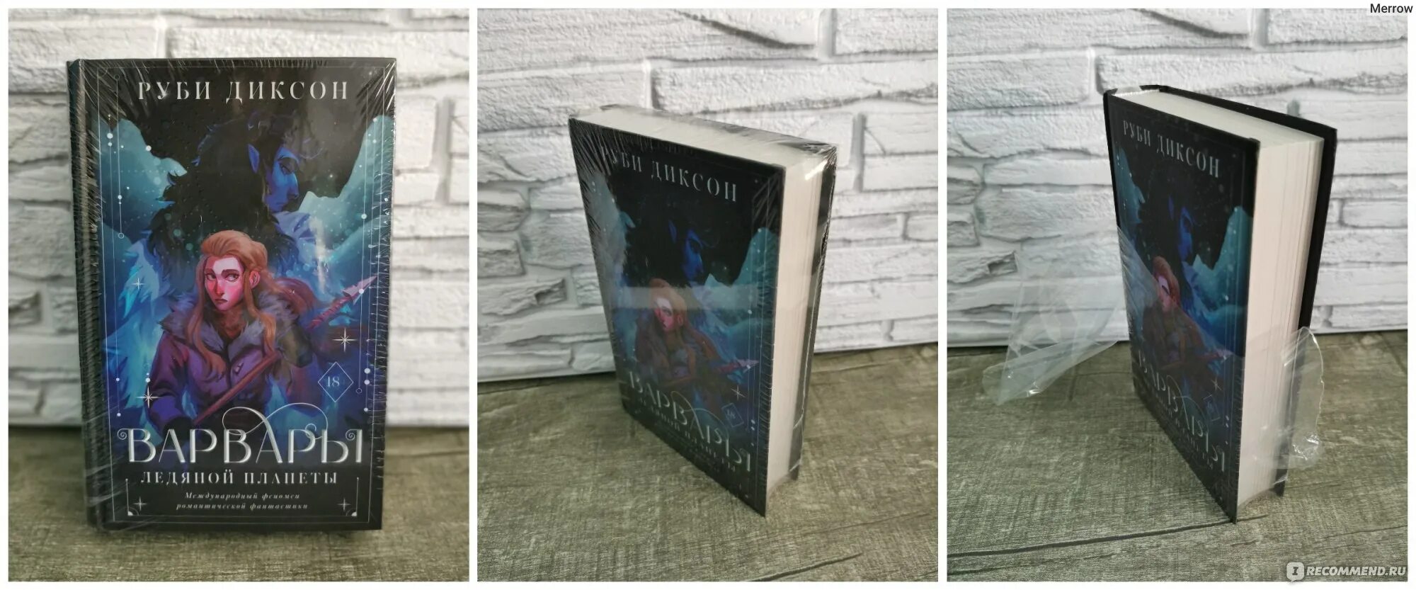 Читать варвар ледяной планеты. Варвары ледяной планеты руби диксон. диксон варвар-пришелец. пришельцы среди нас книга. варвар пришелец читать полностью.