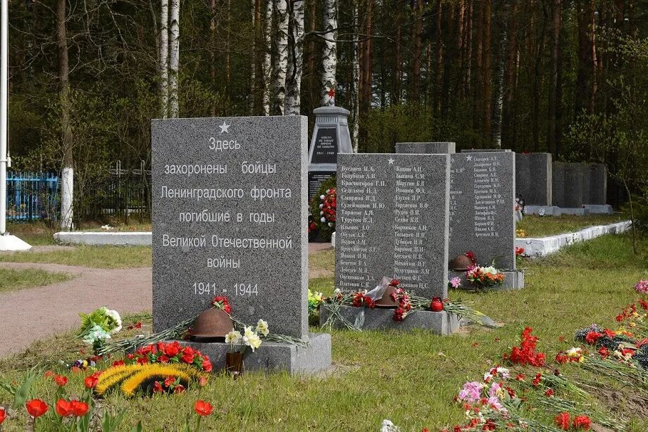 Кладбище озерки. Кладбище. Южное кладбище спб. Озерковское кладбище ленинградская область. Кладбище озерки.