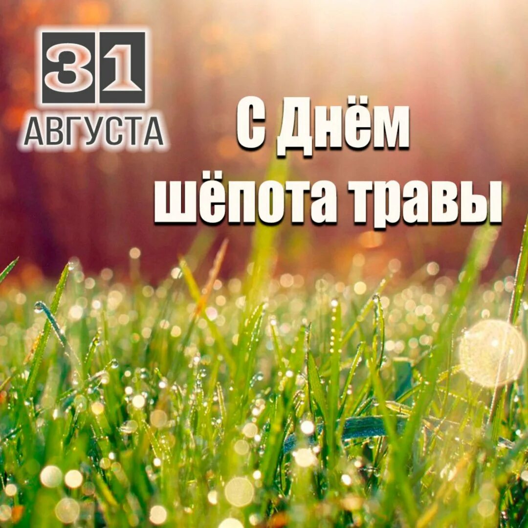 Какой сегодня день августа. Какой сегодня день августа