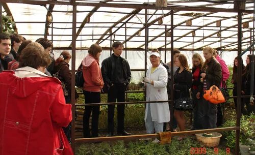 Сад Шубиной в Новосибирске. Поселок Краснообск сад Шубиной. Питомник Людмилы Шубиной. Сайт шубина новосибирск