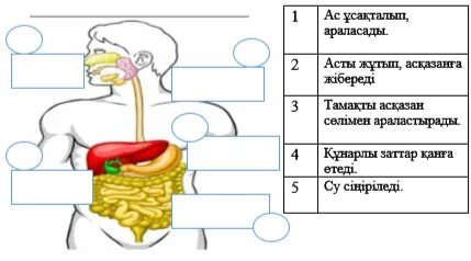 Түнгі көйлек астында сүйкімді жопаны көру үшін порно, артқы көрініс