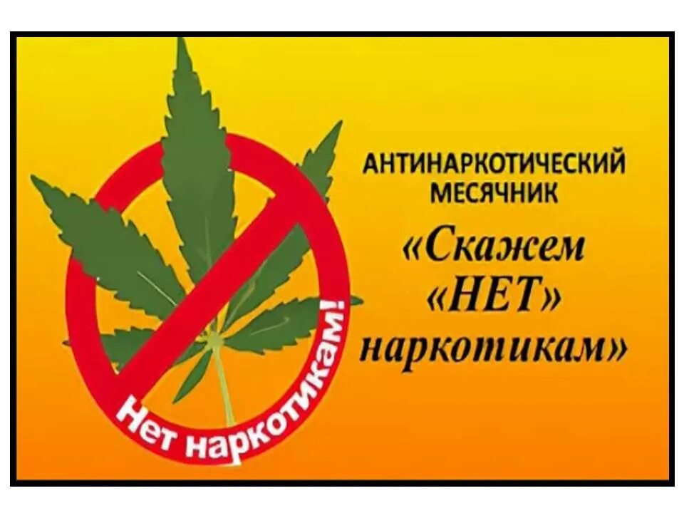 Месячник по профилактике наркомании