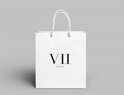Carton bag
