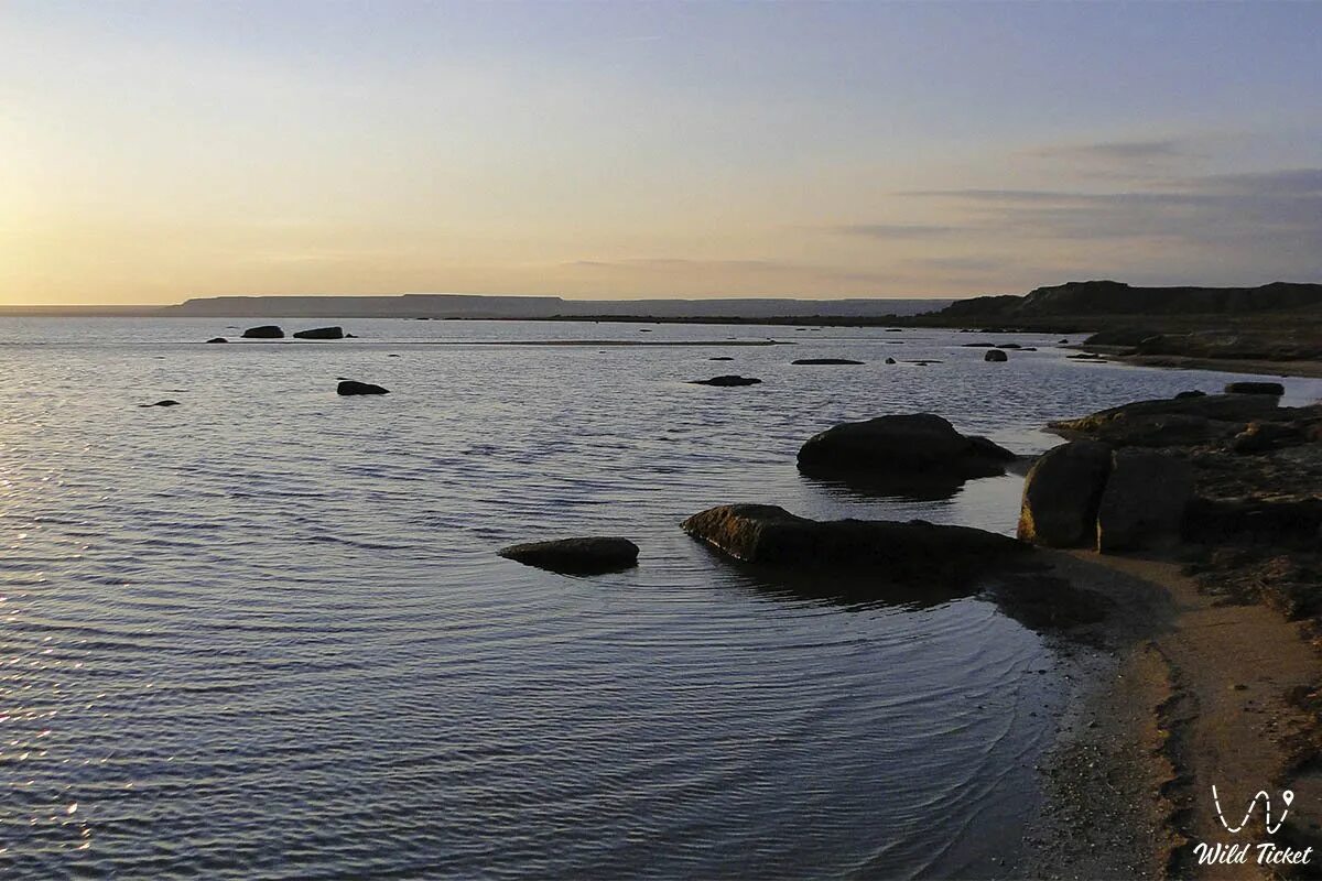 Море в казахстане какое название. Казахский залив. рыбалка каспийское море казахстан. какое море в казахстане.