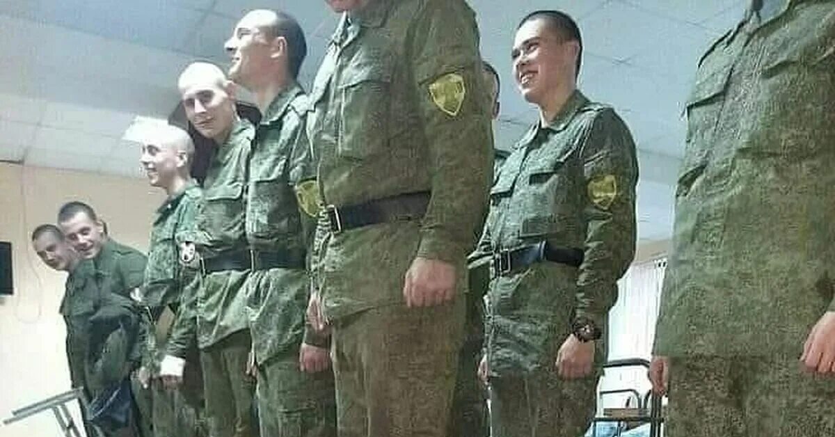 Кот солдат. Кот в строю с солдатами. Кот в строю. Кот в строю. Кот военный.