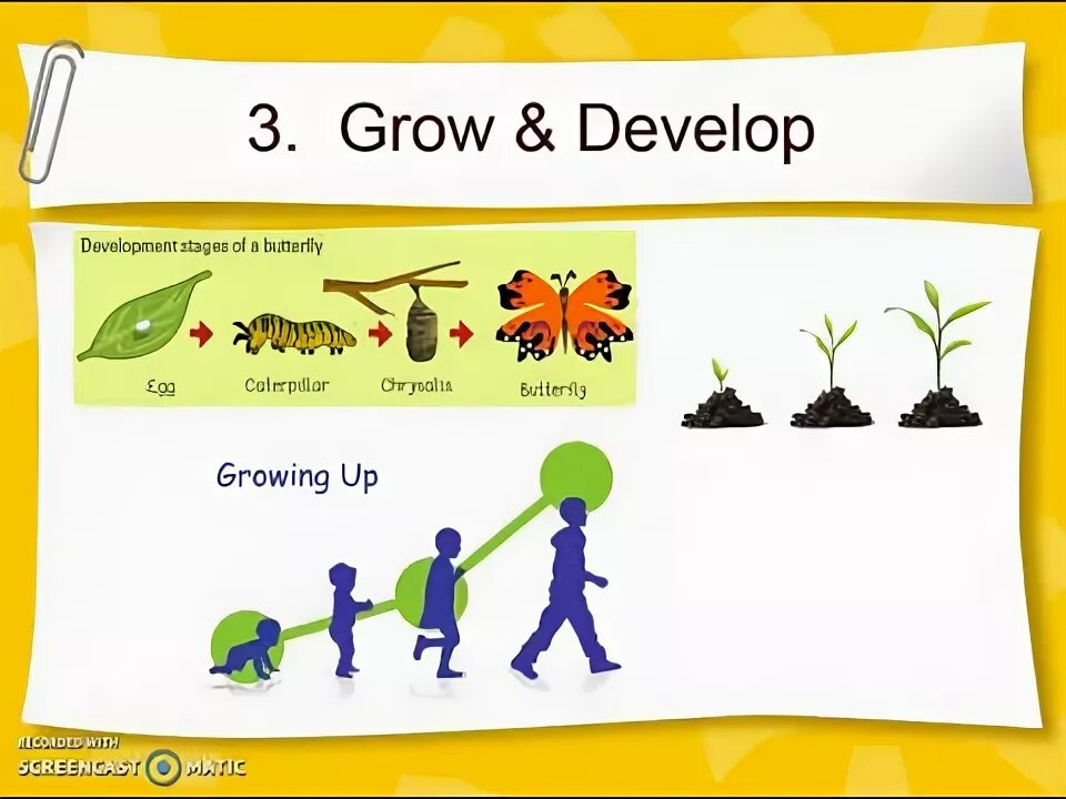 Экологическая биотехнология. Проросток рассада ортон. Рост растений. Рост растений и животных. Эволюция ростка.