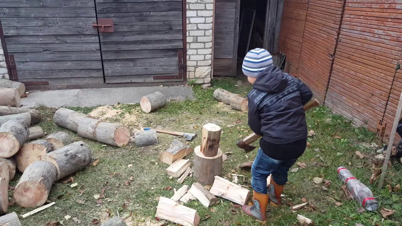 Заготовка дров. Нарубленные дрова. Колят дрова. Колит дрова в деревне.