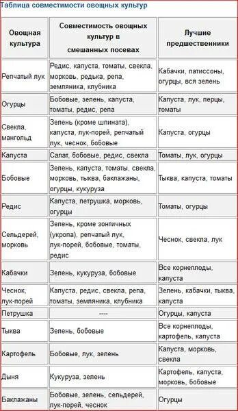 Культуры предшественники овощей таблица. После каких овощей можно садить морковь. После чего садить морковь на следующий год таблица. После чего сажать морковь на следующий год таблица.