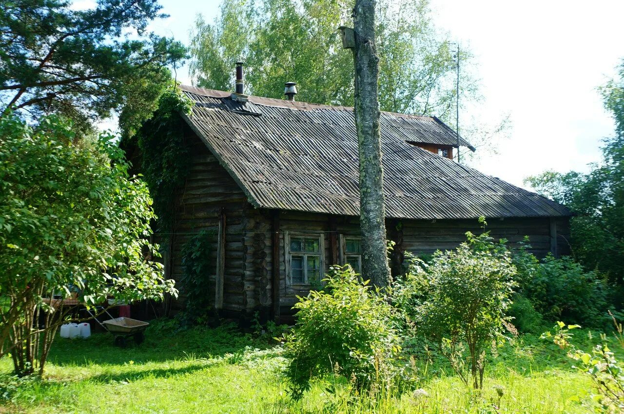 Купить дом в вишере новгородской области. Деревня Морозовичи в Новгородской области. Маловишерский район Новгородской области. Морозовичи Маловишерский р-он Новгородская область. Деревня Красненка Маловишерский район.