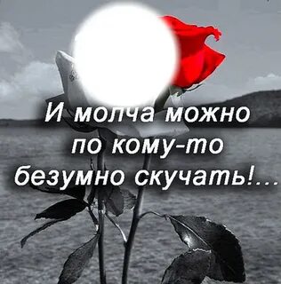 Буду молча скучать