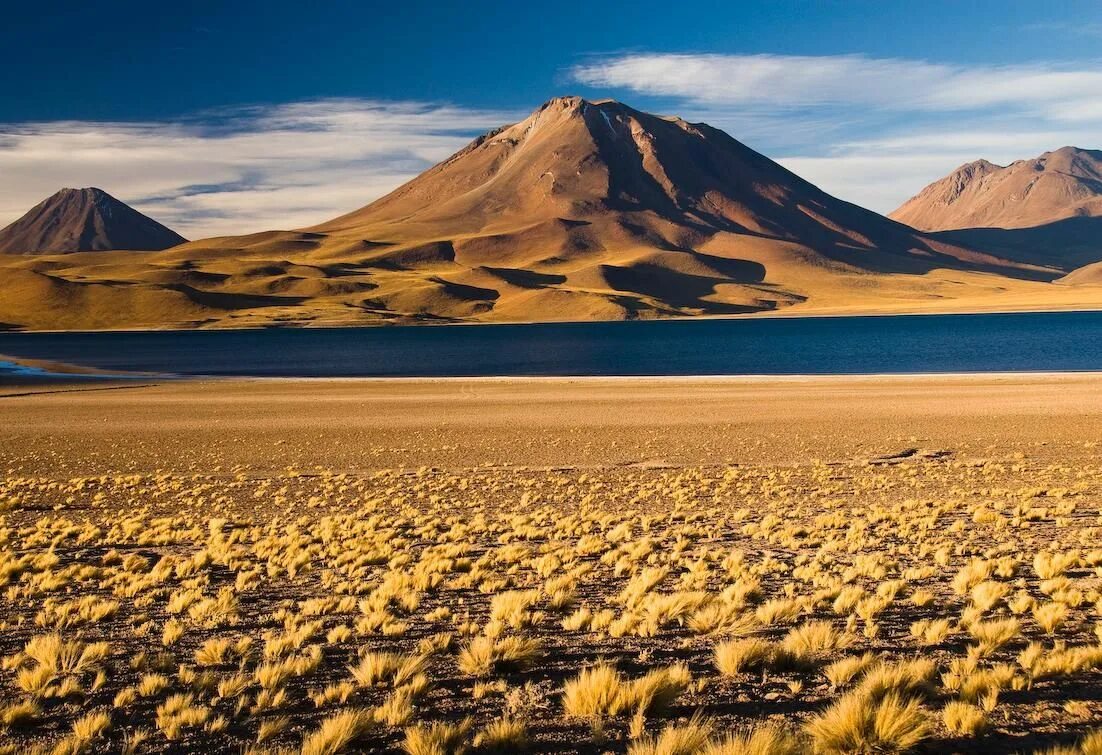 чили америка пустыня атакама. самое влажное место в южной америке. южная америка пустыня атакама. самые сухие районы. самые сухие районы.