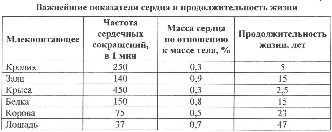 Сколько живут. Срок жизни животных таблица 1. Продолжительность жизни животных. Продолжительность жизни животных таблица 1. Животные и Продолжительность их жизни таблица 1.