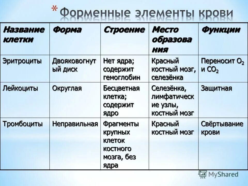 Форменные элементы крови с ядром. Форменные элементы содержащие ядра. Форменные элементы содержащие ядра. Форменные элементы крови. Функции форменных элементов крови.